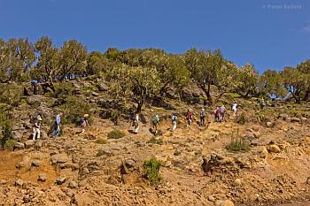 Wanderung im Simien-Mountains-Nationalpark