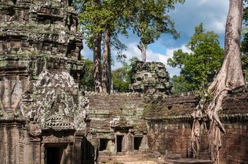 Dschungeltempel Ta Phrom