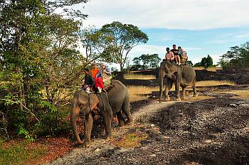 Elefantenritt zur Tempel-Ruine "Phou Asa"