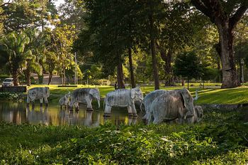 Im Kandawgyi Natur Garden