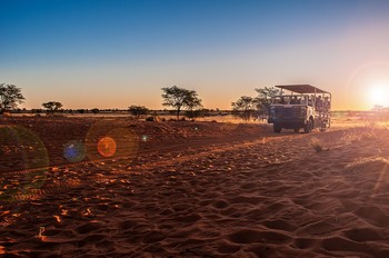 Game Drive im Tierschutzgebiet der Auob Country Lodge in der Kalahari.