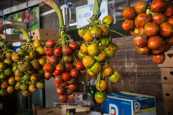 Auf dem Obst- und Gemsemarkt in Panama