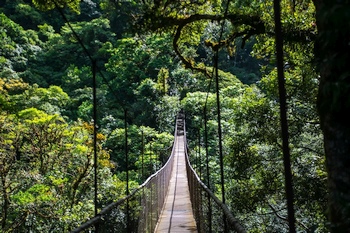 Hngebrckentour in Boquete, Panama.