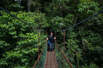 Hngebrckentour in Boquete, Panama.