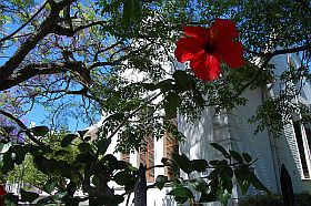 Stellenbosch