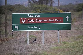 Addo-Nationalpark