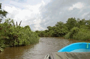 Madhu River (Balapitiya)