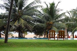 Negombo - Jetwing Beach