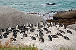 Boulders Beach